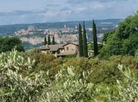 Tra gli ulivi e il panorama