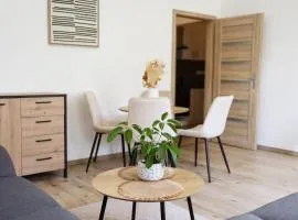 Selecta Apartment Olomouc