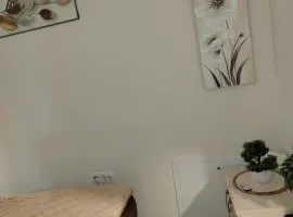 Mrvica