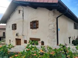 Etxezarra