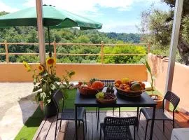 Borgo antico Pisa