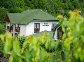 Rooms and apartmants Mirovic