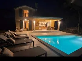 VIlletta Malner-Privat Luxury Pool Retreat in Krk Nature