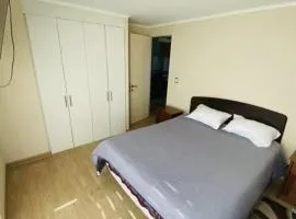 Departamento Centro Chillán