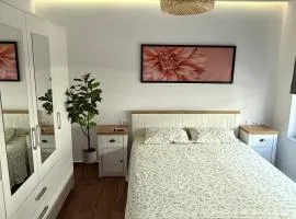 DownTown Small Apartment 3