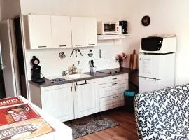 T2 Cosy, agréable fonctionnel et douillet, 1 lit 140 et un BZ , Wifi gratuit, boîte à clés, proche commerces et gare routière, linge de lit et toilette offerts à partir de 4 nuits
