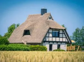 Reetdachhaus in Dranske