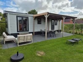 Chalet 579 op Recreatiepark De Wielen