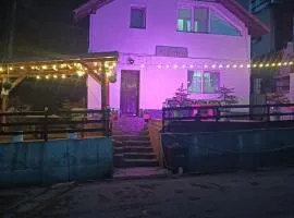 Acasă la Cutuca