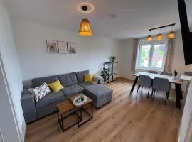 Tom s Apartment II