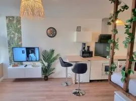 New jungle studio cœur de ville