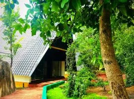 Dambulla Tiger Rock Hotel with Mountain Viewpoint