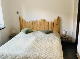 Dvoujlůžkový pokoj s koupelnou