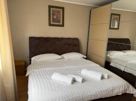 Casa Larisa Borsa, hotel in Borsa