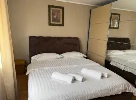 Casa Larisa Borsa