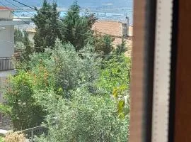 Πέτρινη Φωλιά