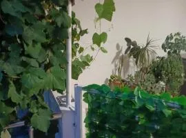 Apartmani Bogdana