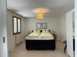 Apartments Soldanella