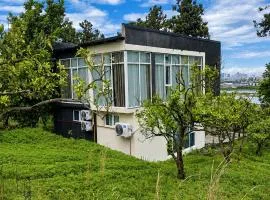 Hillside House Overlooking Batumi