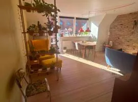 Bright, colorful apartment with a balcony in the heart of Odense