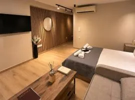 Antonio Airport Loft-FREE AIRPORT SHUTTLE