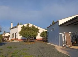 CR los olivos