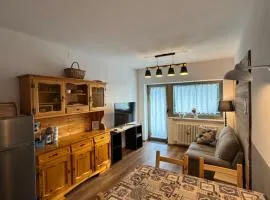 Appartamento Edelweiss - Sella Nevea