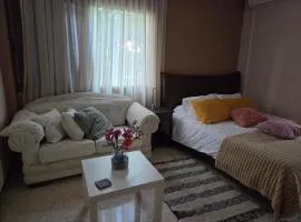 Ground floor Apt with a garden view