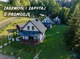 Domki Potok - Noclegi Bieszczady