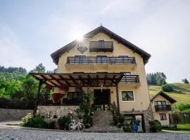 Sapphire Chalet - Moieciu de sus