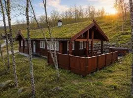 The Cabin by Hallingskarvet