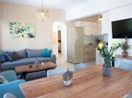 Koronos Traditional Village Apartment, Naxos