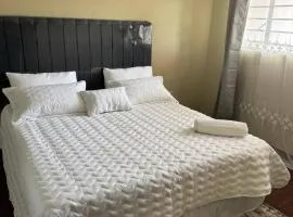 Premium Luxury Apartments