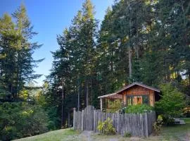 Orcas Island Forest Grove, A Cozy Naturalist Retreat