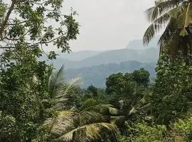 Veiw paddy field home stay