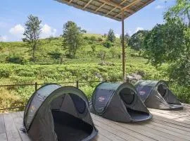 Jungle Nest Ella