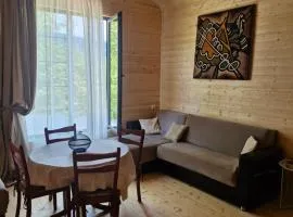 Cottage in Tskhvarichamia forest 2