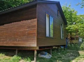 Cottage in Tskhvarichamia forest 2