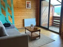 Chalet N5 avec vue