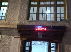 Hotel Galuma Leh