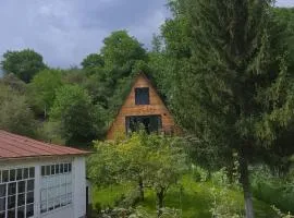 Riverside Guest house Mashkhur
