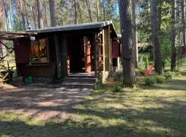 Domek w lesie blisko jeziora