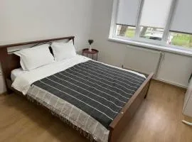 Cozy Central Apartament II