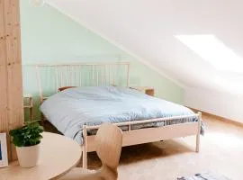 Alto Ferrel Guesthouse