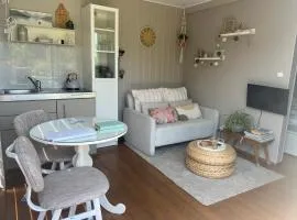 Tiny House Droom aan de Linge
