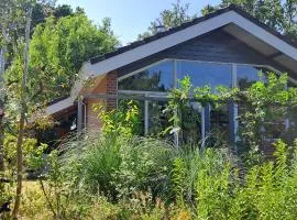 Suzie's Cottage