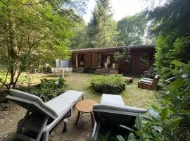 Fantastisch chalet met veel ruimte en fijne tuin