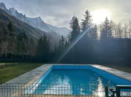 Bright apartment with swimming pool in Chamonix