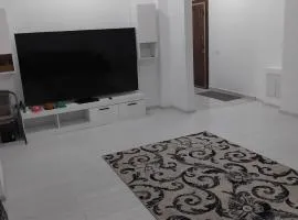 Apartament Militari