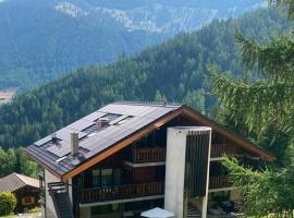 Mountain Studio, Hotel in La Tzoumaz